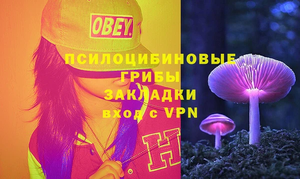 сатива Аркадак