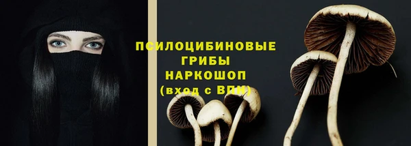 мескалин Белокуриха