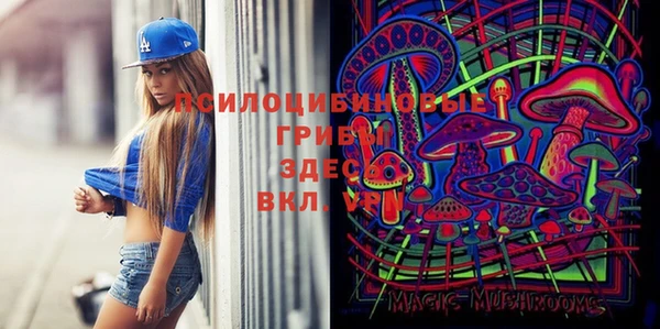 мескалин Белокуриха