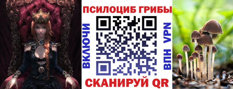 kraken ссылки  закладки  Мурманск  Галлюциногенные грибы GOLDEN TEACHER 